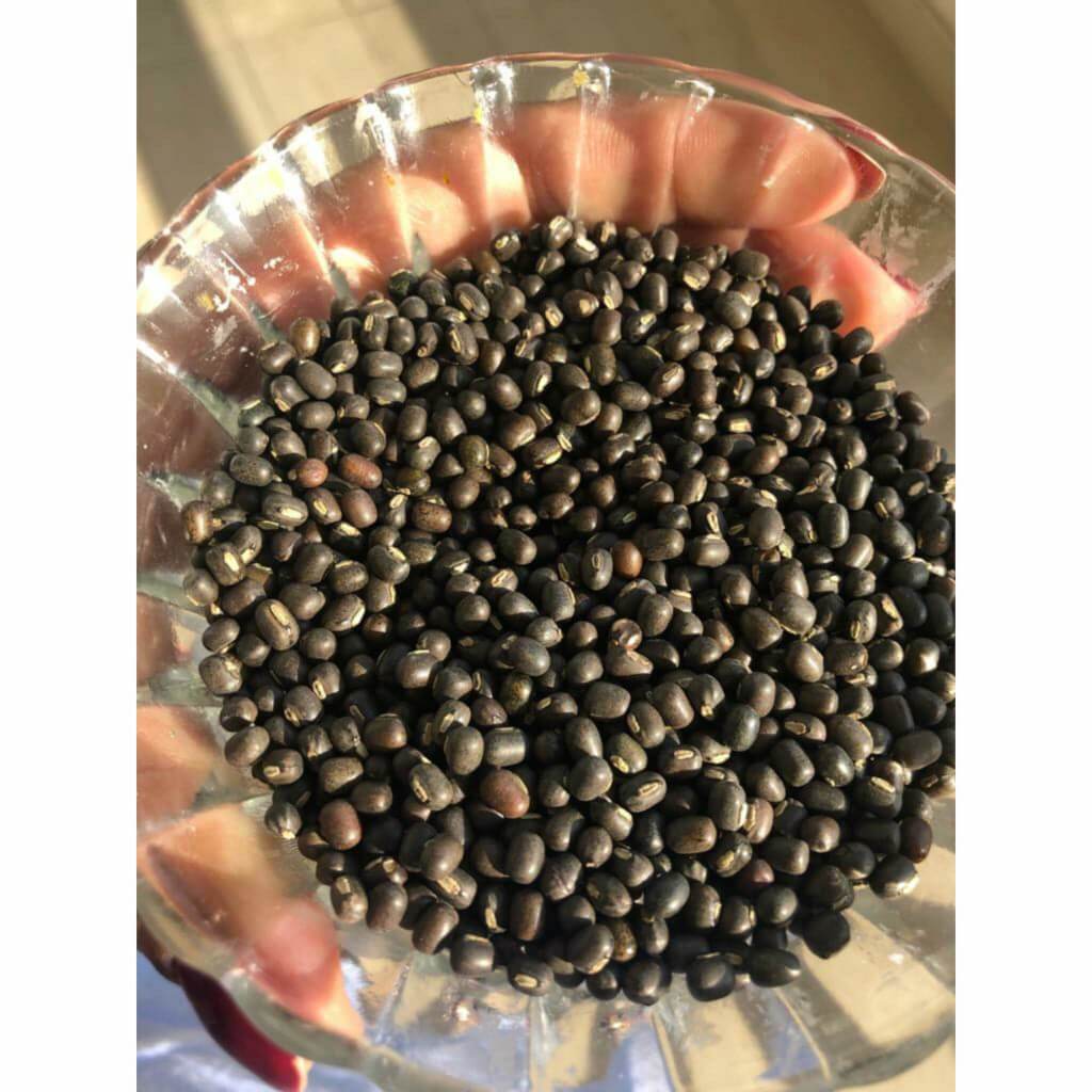 Balaayah Black Gram Bright Body Booster : With Sweet & Citrusy Aroma of Jasmine, Cardamom, Orange and Lemongrass - Image 16