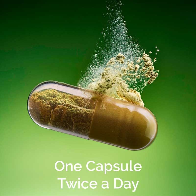 Clensicap - Detox Supplement for Improved Strength, Stamina, Sleep and Digestion - Pack of 2 - Get FREE Clensicap Pack of 2 - Image 4