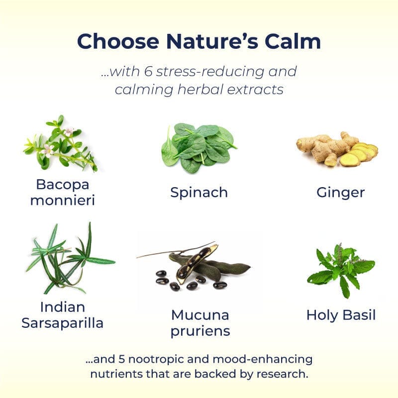 FREE GIFT: BacoBliss I With 10+ powerful ingredients for Calm, Relaxation and Occasional Stress Relief - Image 5