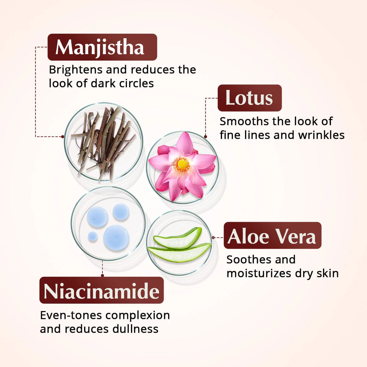 Rufolia PRO Periorbital Eyemulsion | Eye Contour Cream – Brighten, Firm and Moisturize Under-Eyes – New Formula with Manjistha, Aloe Vera, Lotus, and Niacinamide - Image 7