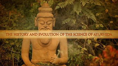 The Ayurveda Experience - Digital - Image 4
